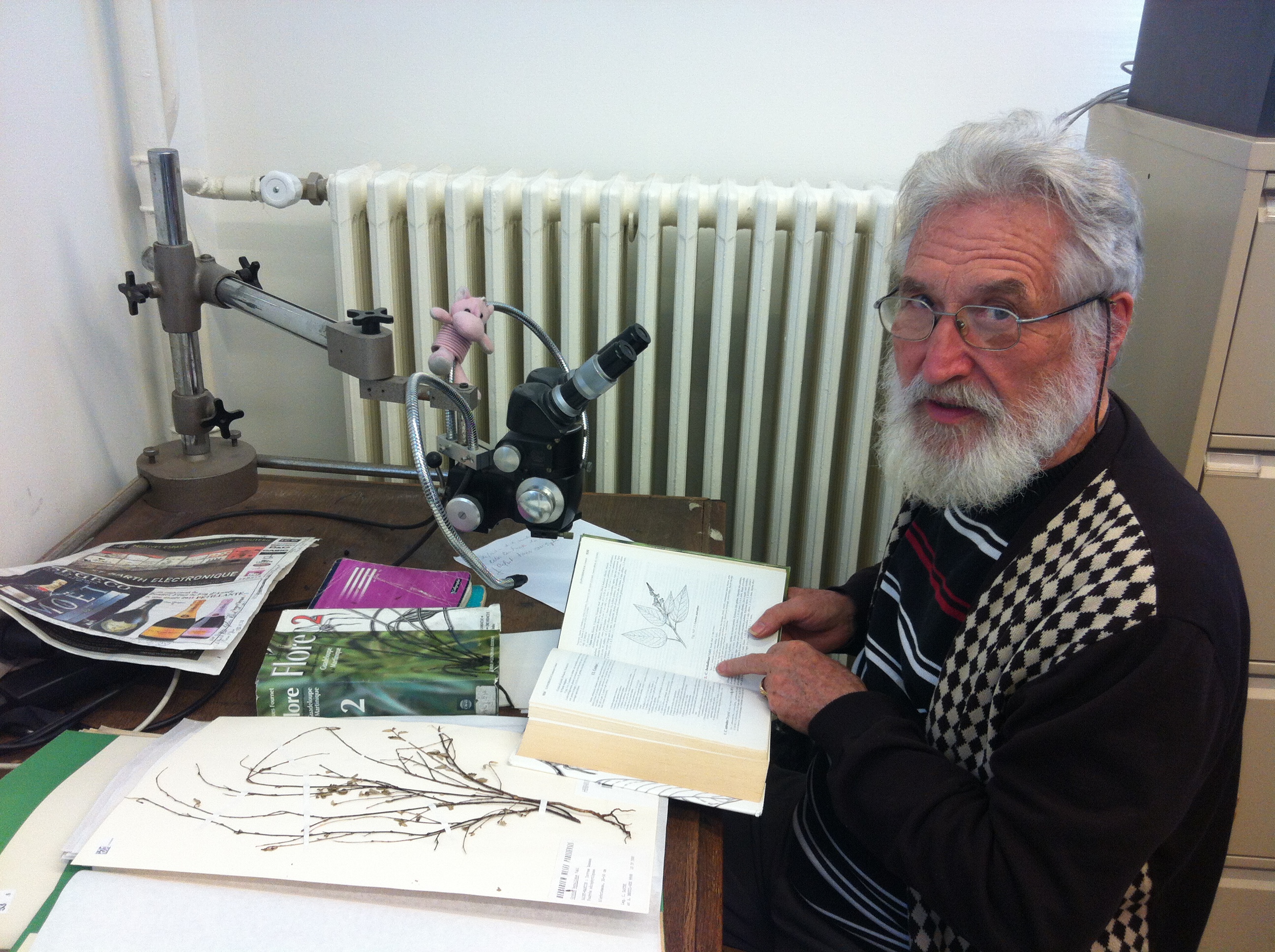 Claude Sastre at the Museum of Natural History in Paris, in the process of identifying a specimen collected in Saint Barth.