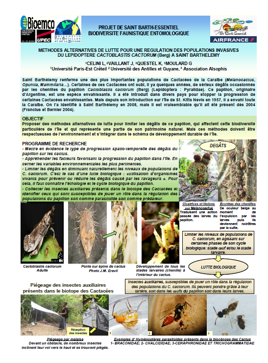 SCIENTIFIC REPORT ON ANTS & TERMITES (French)