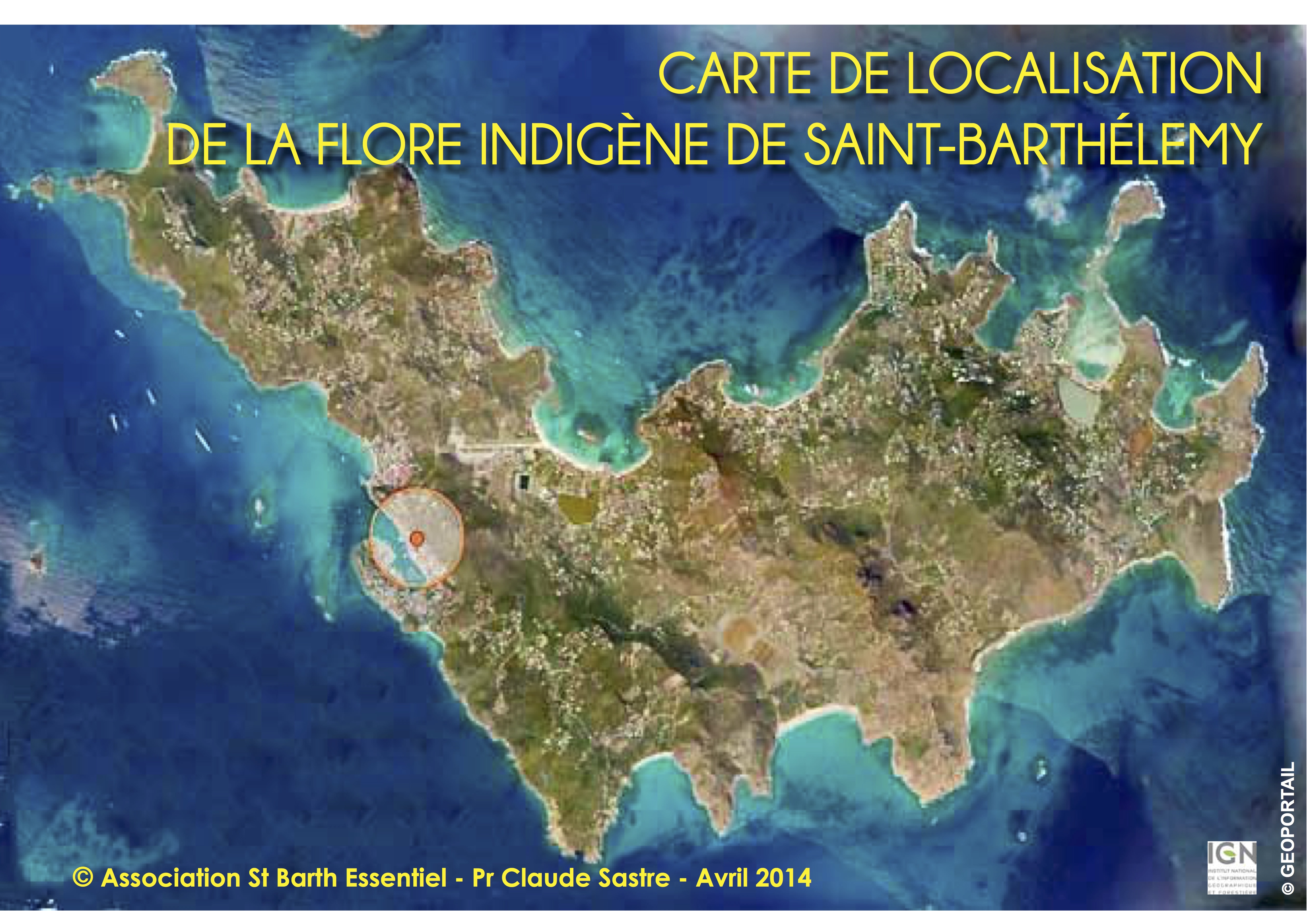 INVENTAIRE FLORE VASCULAIRE INDIGENE DE SAINT BARTHELEMY _-SAINT BARTH ESSENTIEL
